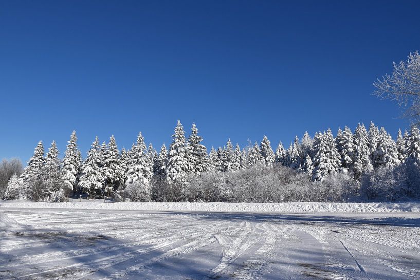 Eine Landstraße im Winter von Claude Laprise