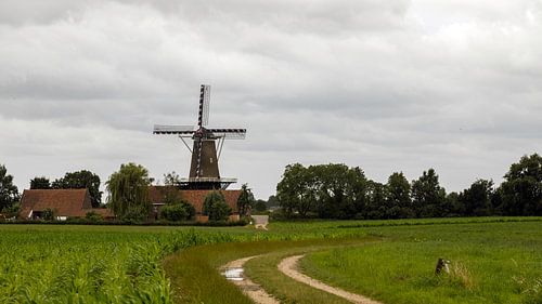 De Hompesche molen op het 