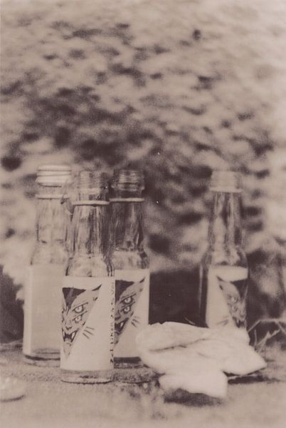 Hipsterhausen _ 13 von Johannes Wobus