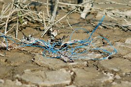 artistiek op zee van vanetty onderstal