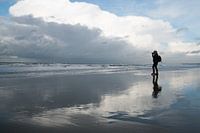 Seascape Hoek van Holland