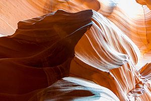 Cayote, Upper Antelope Canyon 