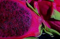 Gros plan sur le fruit du Pitaja rouge