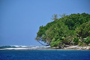 Coming close to the wild ocean