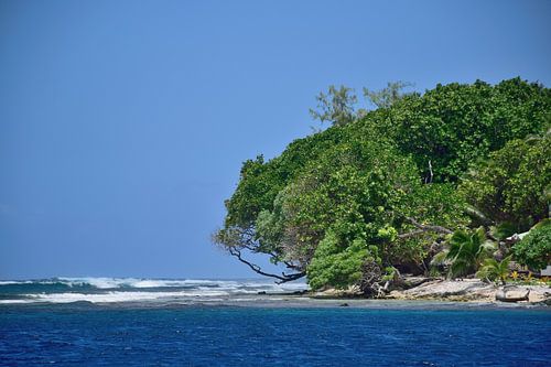 Coming close to the wild ocean