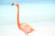 Flamingo von Willemijn van Donkelaar Miniaturansicht