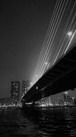 Erasmusbrug Rotterdam