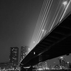 Erasmusbrug Rotterdam van Leonie Vreeswijk-Feith