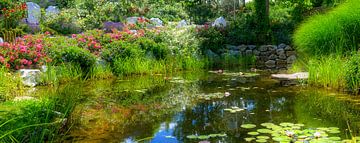 Garden pond by Leopold Brix