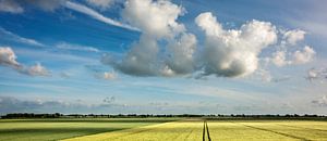 Espace dans le polder sur Bo Scheeringa Photography