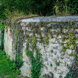 Landelijke sfeer met een typisch Franse muur van Blond Beeld