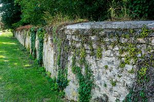 Ländliches Ambiente mit einer typisch französischen Mauer