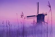 Violette Mühle von Halma Fotografie Miniaturansicht