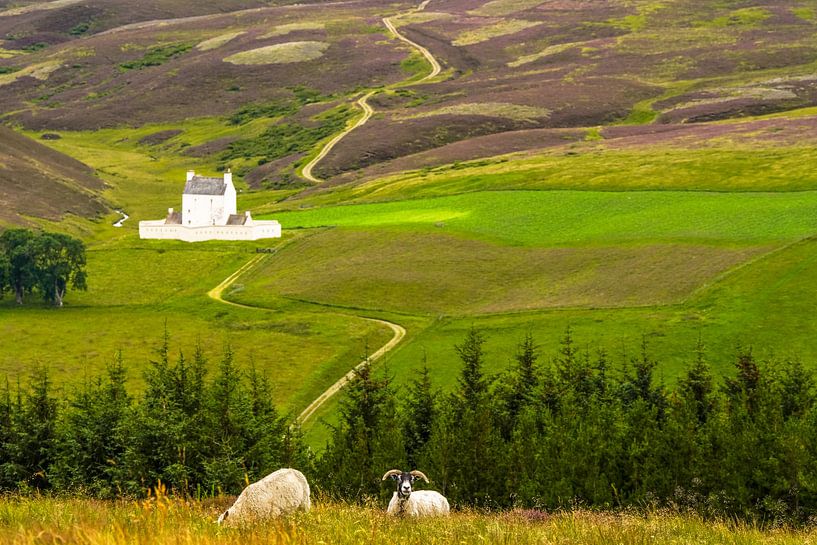 Schloss Corgarff Schloss Cairngorms Schottland von Dirk van Egmond