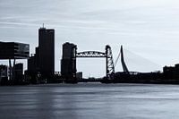 Roffa Silhouette