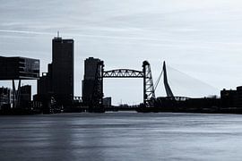 Roffa Silhouette by Marcel Moonen @ MMC Artworks