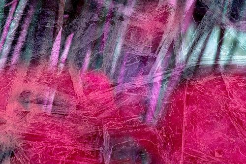 Warm rood in het bamboebos