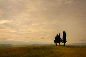 Croce di Prata, Toskana, Italien