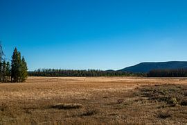 Wide landscape by Guenter Purin