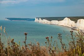 Falaises blanches de Birling Gap, Angleterre sur Nynke Altenburg
