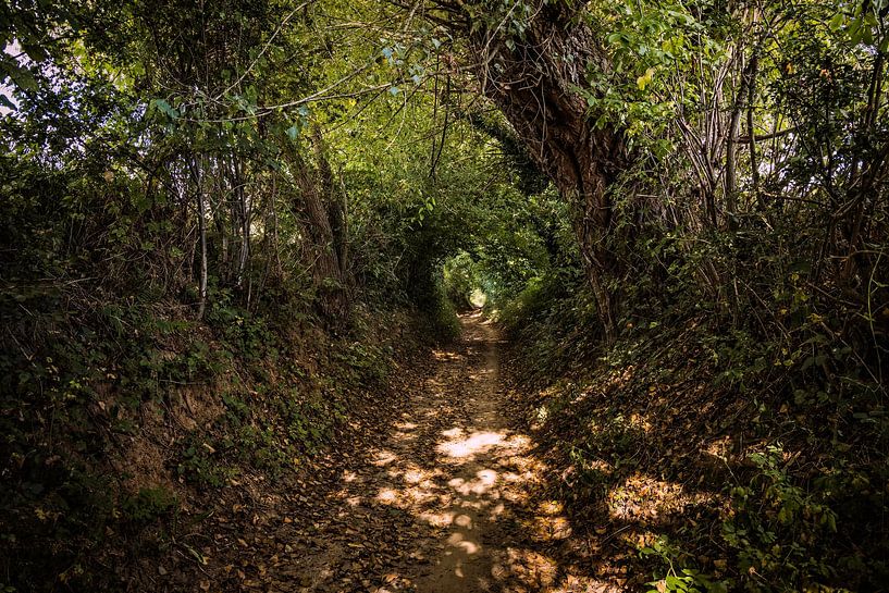 Path Walem by Rob Boon