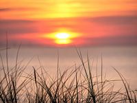 Kleurrijke zonsondergang met op de voorgrond helmgras
