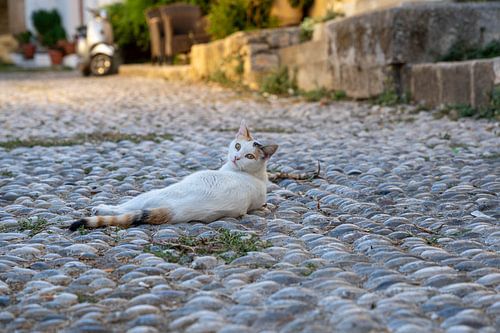 Sérénité dans la vieille ville