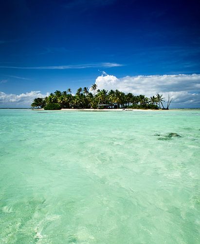 Tropical uninhabited island in the Pacific Ocean by iPics Photography