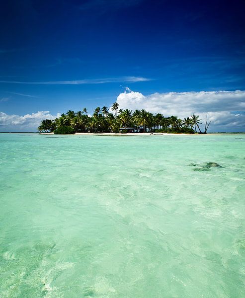 Tropische unbewohnte Insel im Pazifischen Ozean von iPics Photography