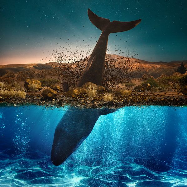 Take a breath by Arjen Roos