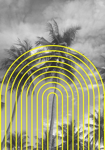 Tropical Echoes