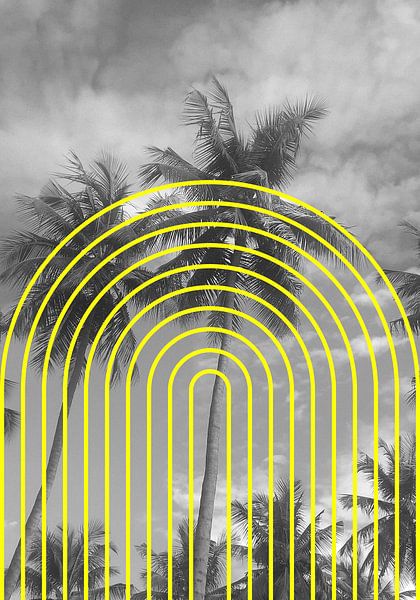 Tropical Echoes by Athene Fritsch