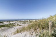 Duinen bij het Noordzee strand van Groet van Paul Veen thumbnail