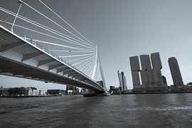 Rotterdam von Roger Hagelstein