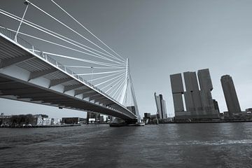 Rotterdam van Roger Hagelstein