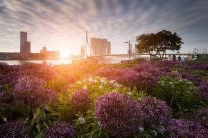 Pont de fleurs