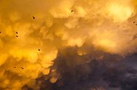 Mammatus clouds after a thunderstorm on a beautiful summer day by Jessica Berendsen thumbnail