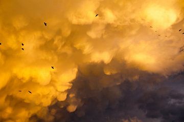 Mammatus nuages après un orage sur une belle journée d'été
