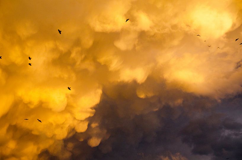 Mammatus clouds after a thunderstorm on a beautiful summer day by Jessica Berendsen