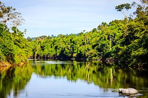 Kabalaebo-Fluss in Suriname