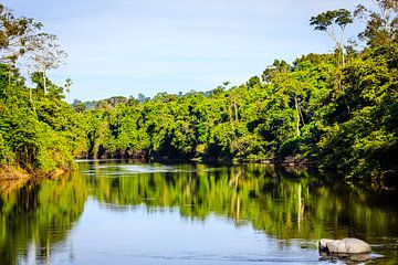 Kabalaebo rivier in Suriname van René Holtslag