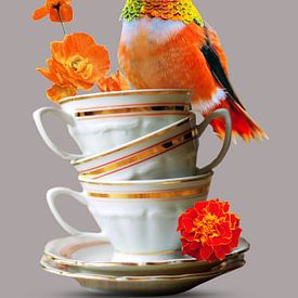 Kolibri auf Tasse und Untertasse von Postergirls