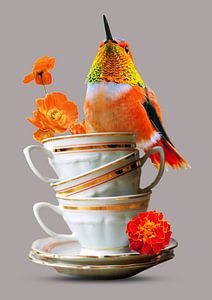 Hummingbird on cup and saucer