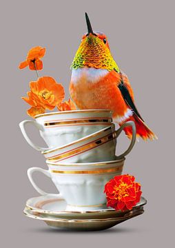 Hummingbird on cup and saucer