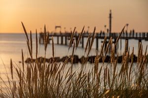 Ostsee: Sonnenuntergang an der Seebrücke Wustrow / Darß bei Sonnenuntergang