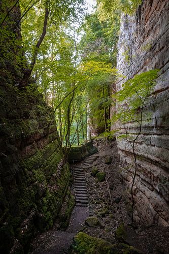 Gorges de Loup in the Müllerthal, Luxembourg