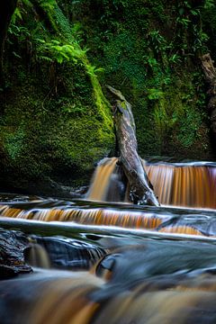 Devils Pulpit, Scotland von Winne Köhn