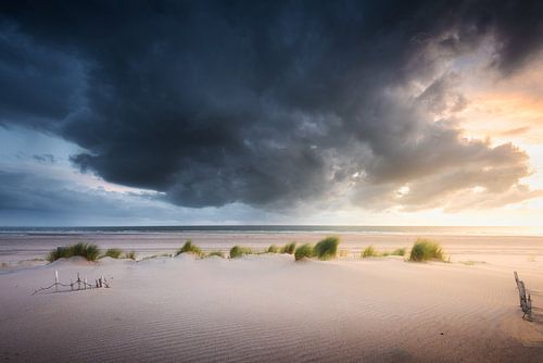 A Storm is Coming