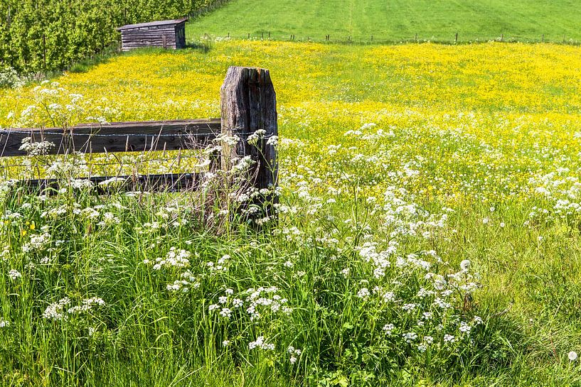 Spring in the polder by Martijn Schruijer