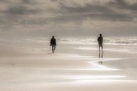 Strand auf Texel von Ingrid Van Damme fotografie Miniaturansicht